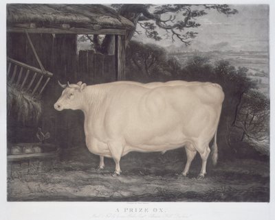 Un bœuf primé, gravé par John Thompson, Smeaton, Yorks, 1831 - Thomas Weaver